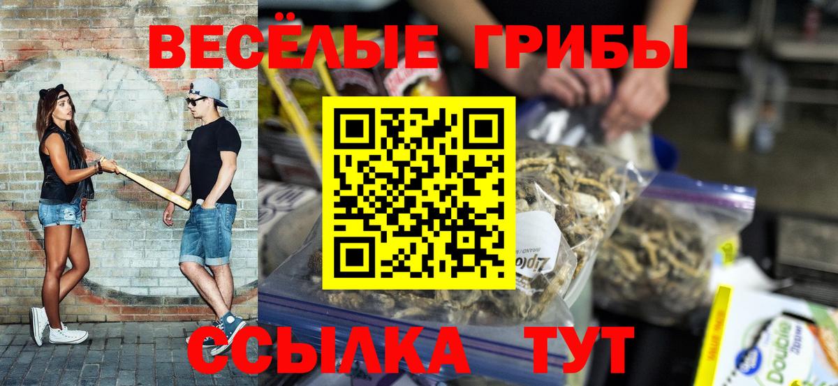Галлюциногенные грибы GOLDEN TEACHER  Вход с VPN  Арзамас  Псилоцибиновые грибы Cubensis 